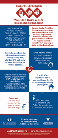 Call-Push-Shock Infographic